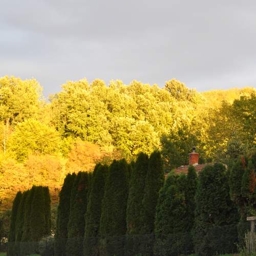 Photo #12711316