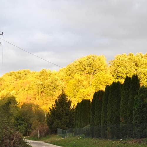 Photo #12711321