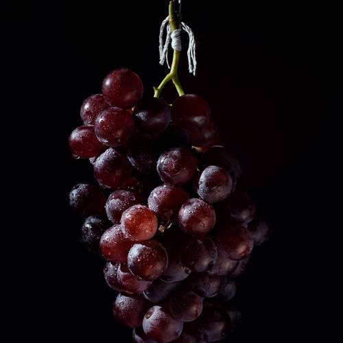 Photo #12711335