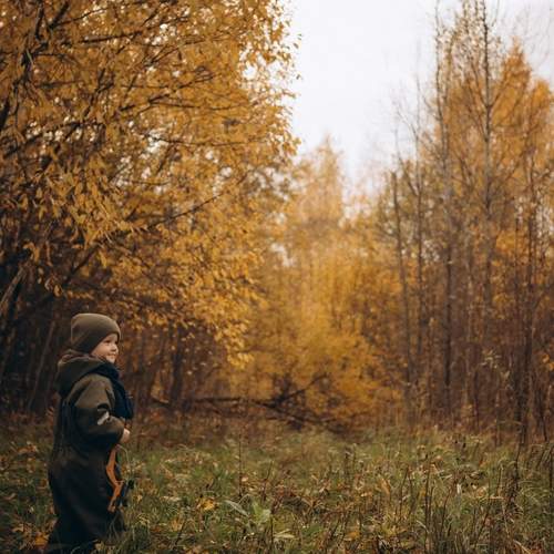 Photo #12711343