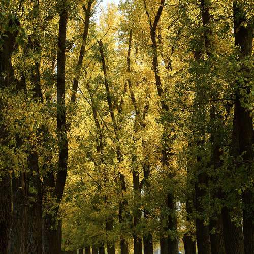 Photo #12711473