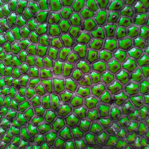 Photo #12711822