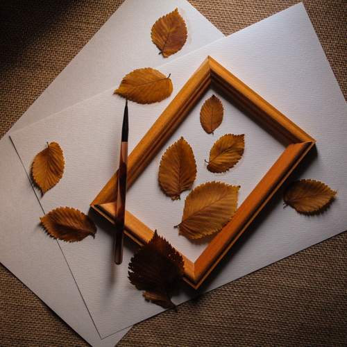 Photo #12711893