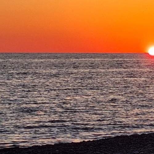 Photo #12711971