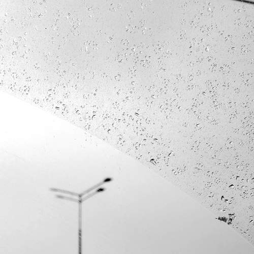 Photo #12711976