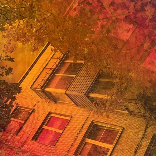 Photo #12712046