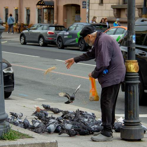 Вечерний ритуал