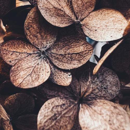 Photo #12712135