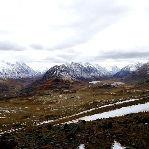 Photo #12712228