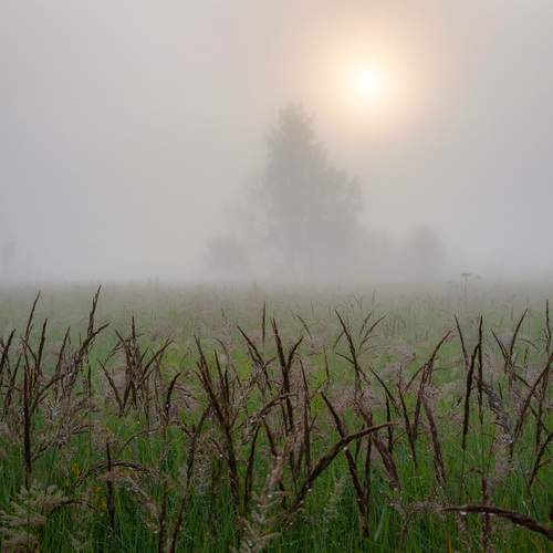 Photo #12712498