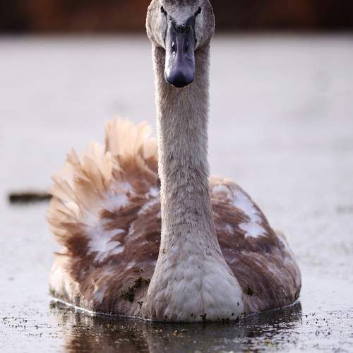 Photo #12712674