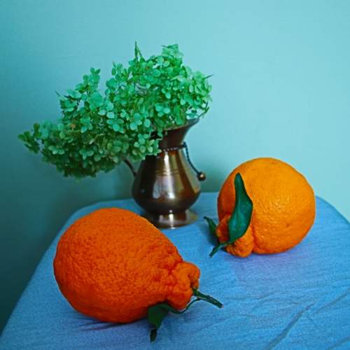 Photo #12712809