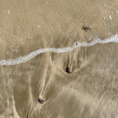 Photo #12712872