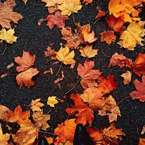 Photo #12712875