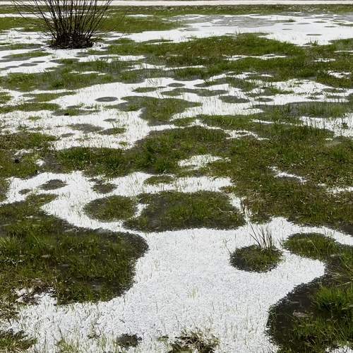 Photo #12713093