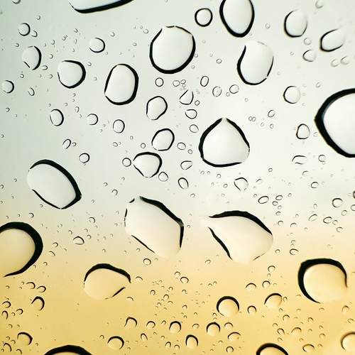 Photo #12713441