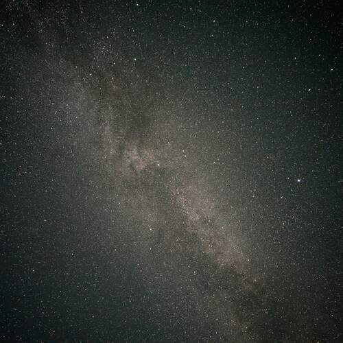 Photo #12713447