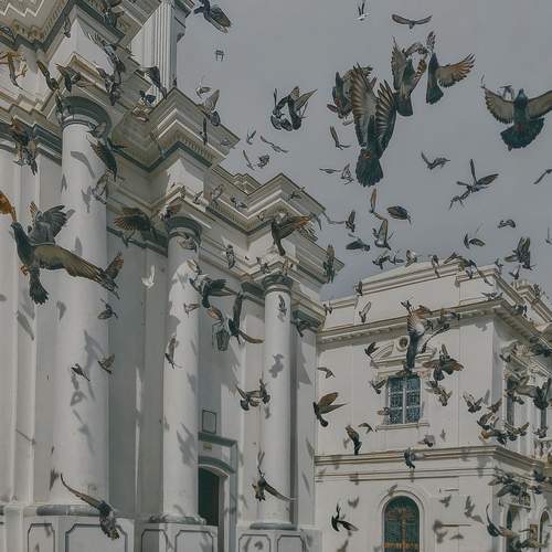 Photo #12713692
