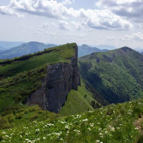Photo #12713842