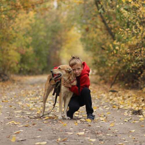 Photo #12714011