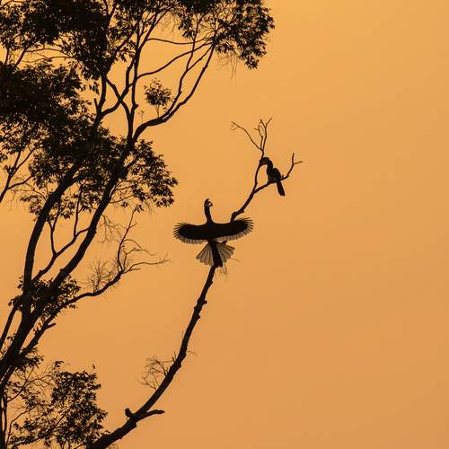 Photo #12714029