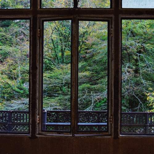Photo #12714038