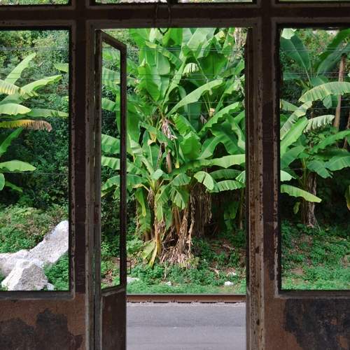 Photo #12714039