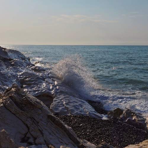 Photo #12714041