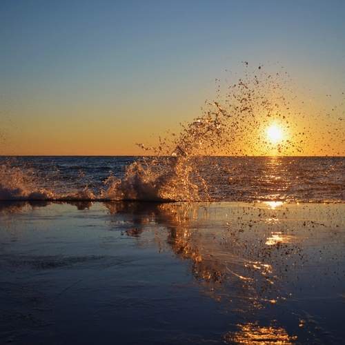 Photo #12714046
