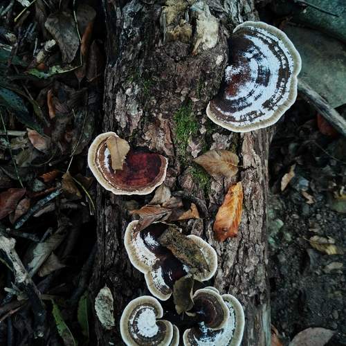 Photo #12714055