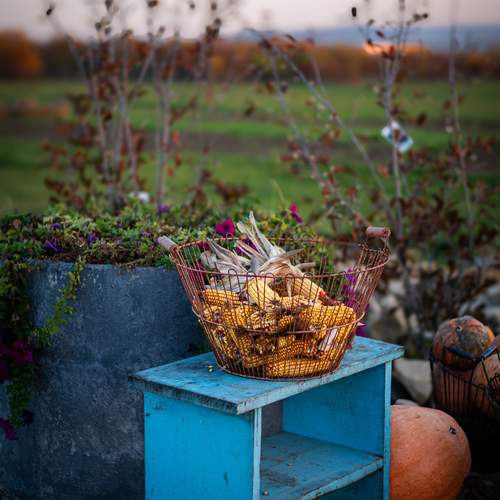 Photo #12714105