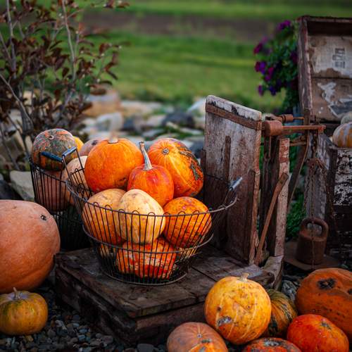Photo #12714106