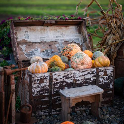 Photo #12714107