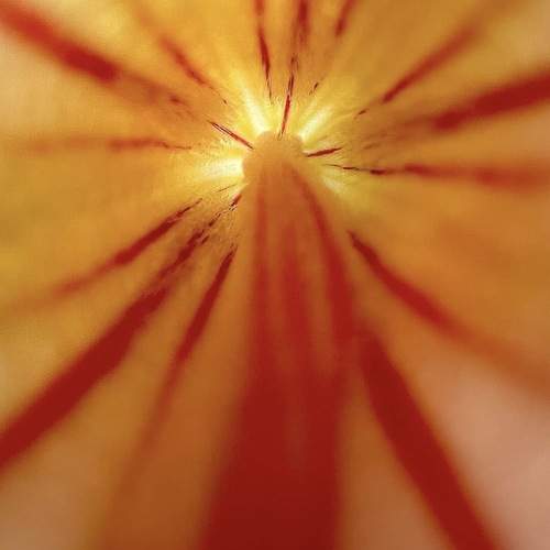Photo #12714158