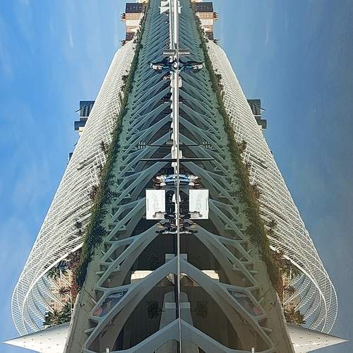 Una mantis te observa