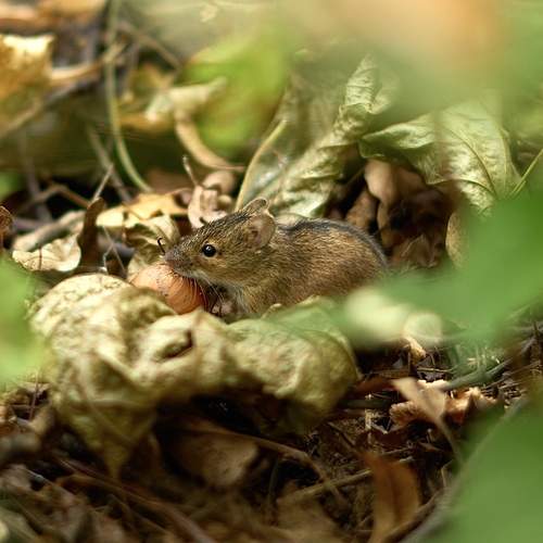 Photo #12714529