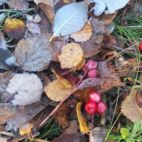 Photo #12714641