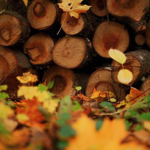 Photo #12714766