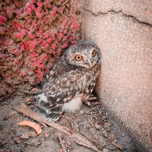 Photo #12714782
