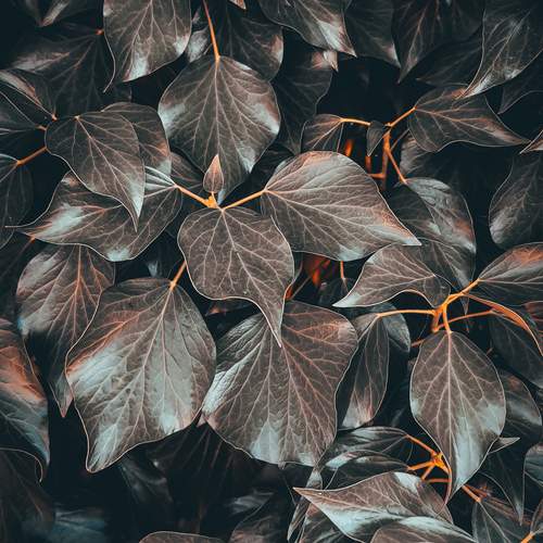 Photo #12714819