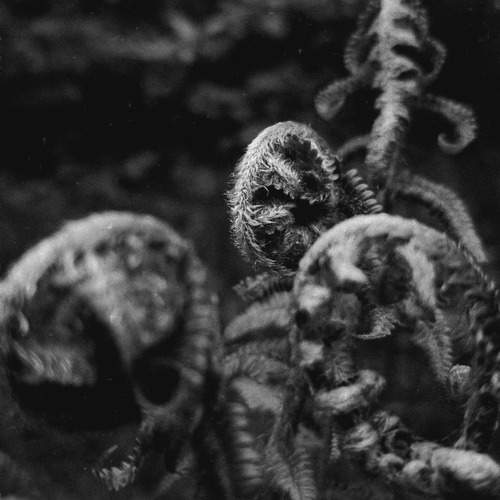 Photo #12715385