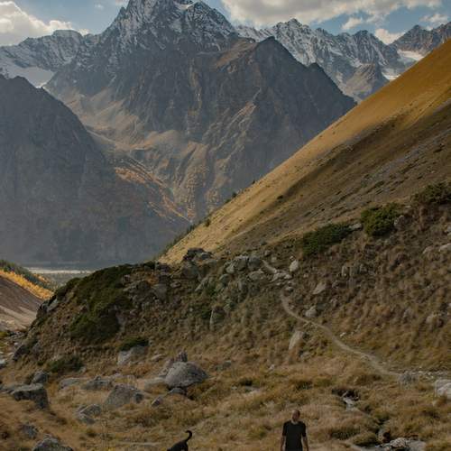 Photo #12715521