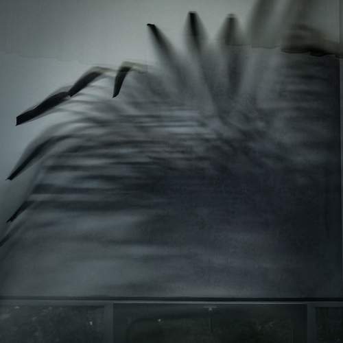 Photo #12715600
