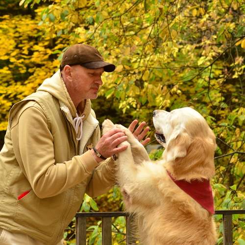 Photo #12715684