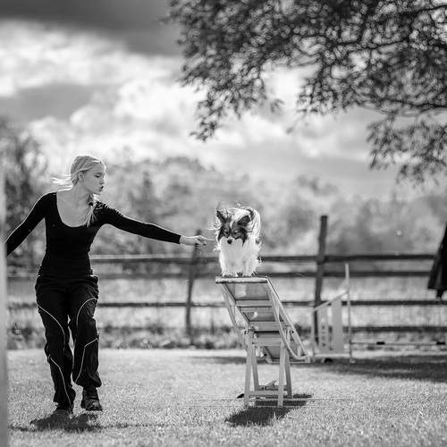 Photo #12715803