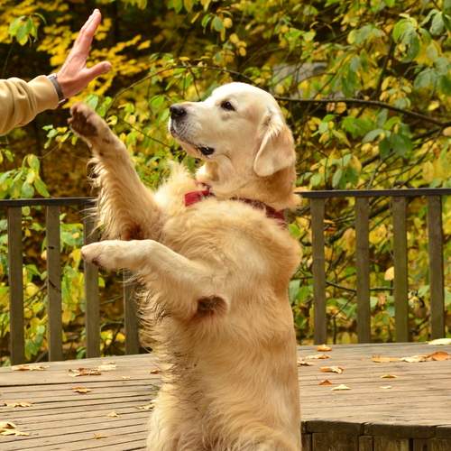 Photo #12715837