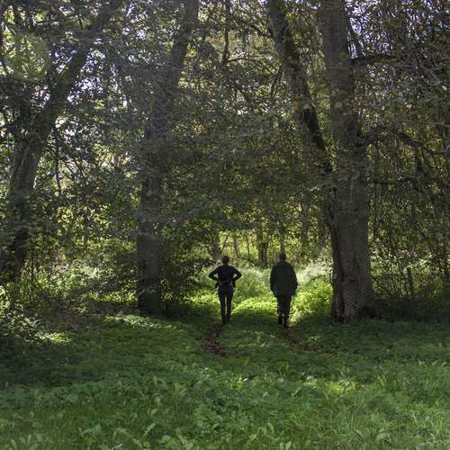 Photo #12715948