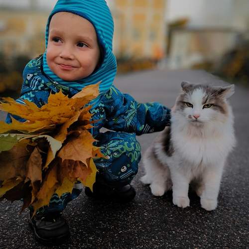 \"Братишка, не грусти! Осень прекрасна!..\"