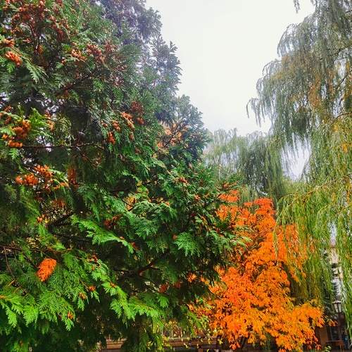 Photo #12716277