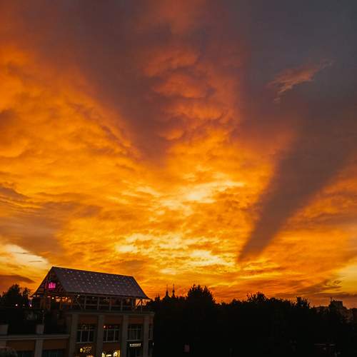 Photo #12716407